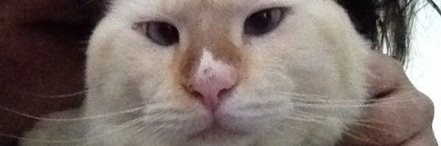 Heitor_Oakaxe's profile banner image