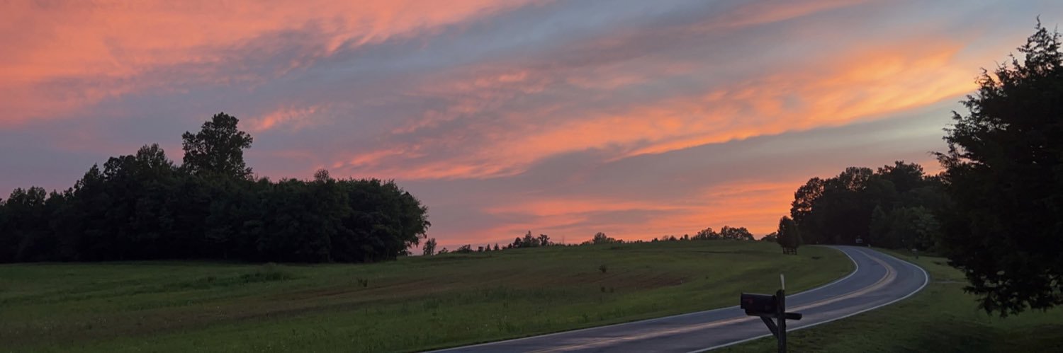 alygauldin's profile banner image