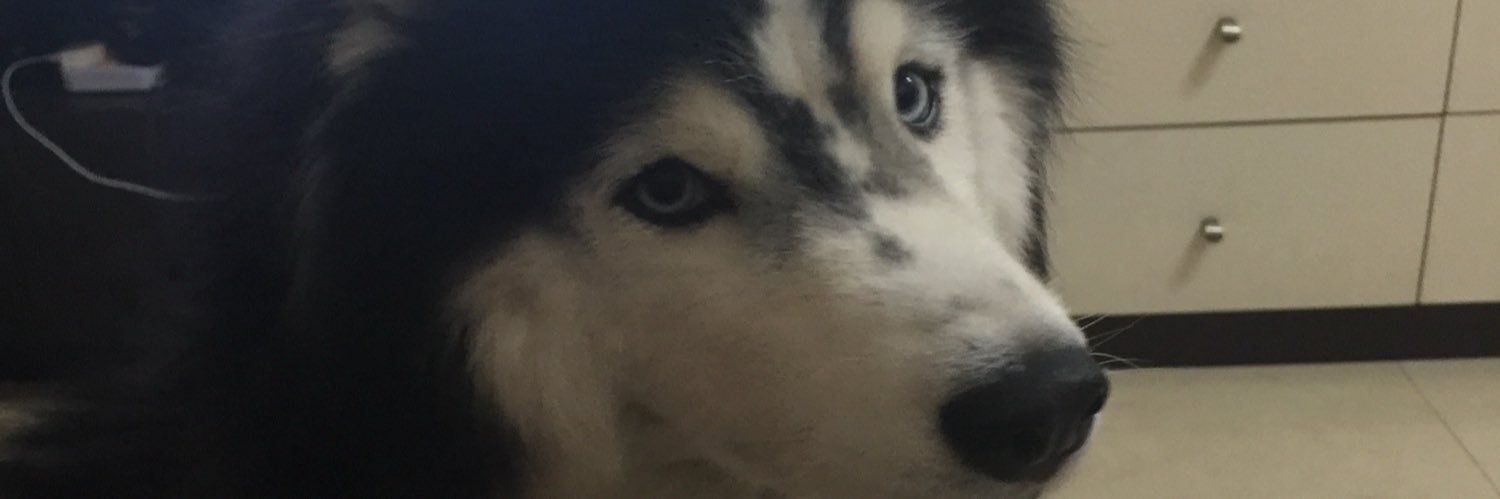 ckcwilliam's profile banner image