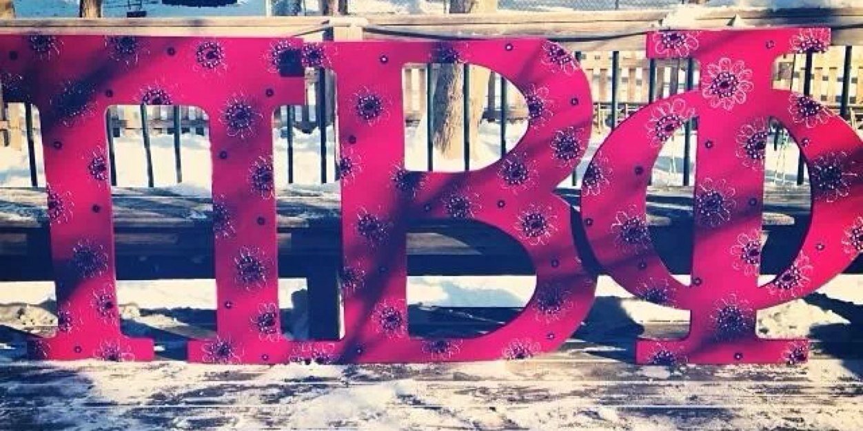 PiPhi_Lehigh's profile banner image