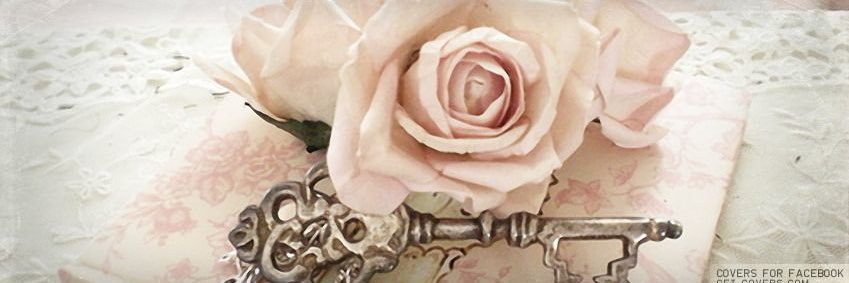 Beauty💕🫧 banner