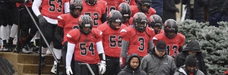 Michigan Collegiate Football banner