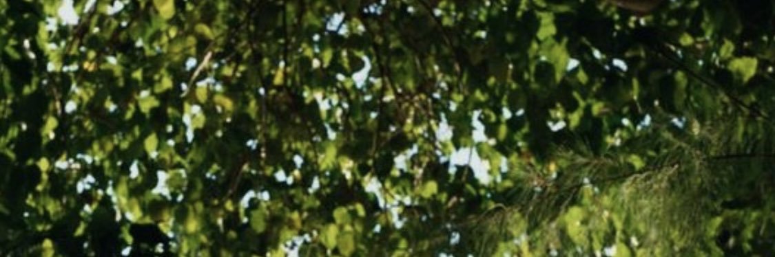 Daniel Croix banner