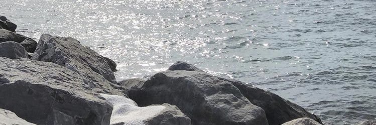 ElizabethMtgt's profile banner image