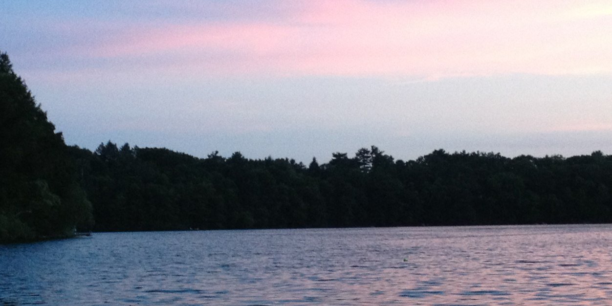 lsonthepond's profile banner image