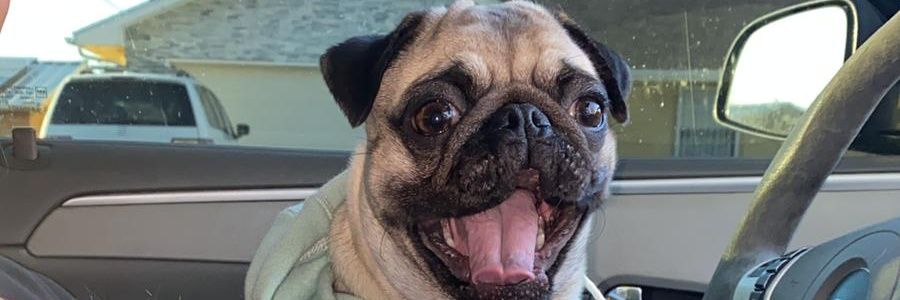 BiancaDiAngelo5's profile banner image