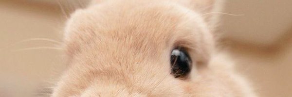 LostGalex Profile Banner