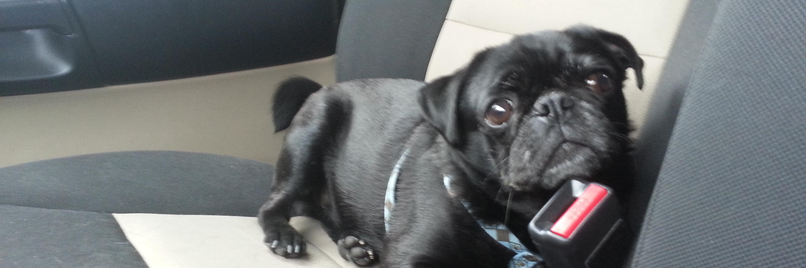 Drew Skwiers-Koballa banner