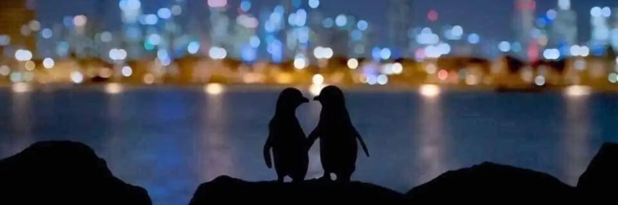 Bethania Uruetta 🇦🇷 Correntinita yvoty banner