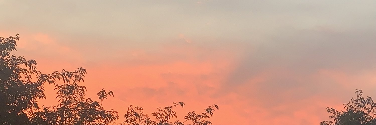 luzmagonz's profile banner image