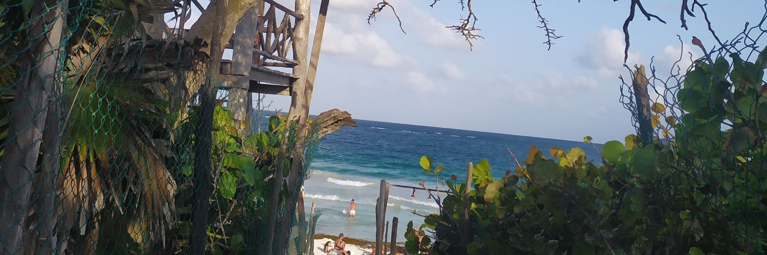 _____tia's profile banner image