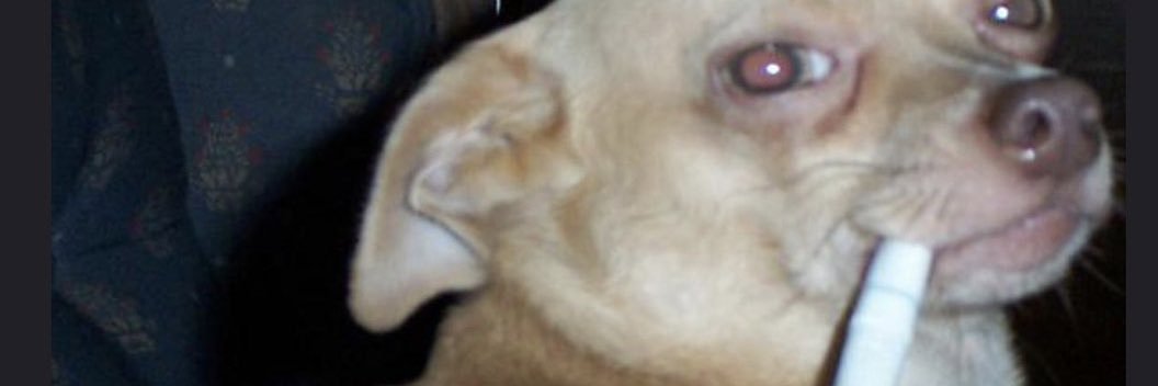 crisduhhh's profile banner image