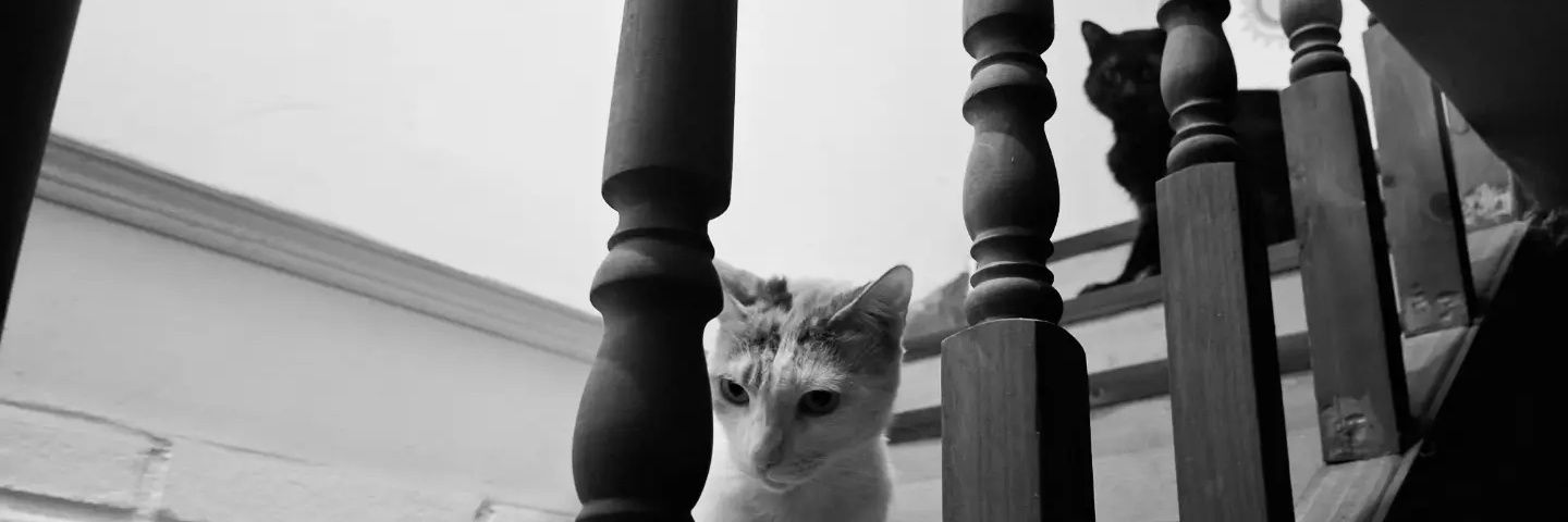 FabianNova's profile banner image