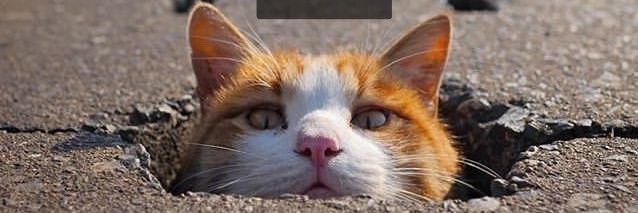 0phi's profile banner image