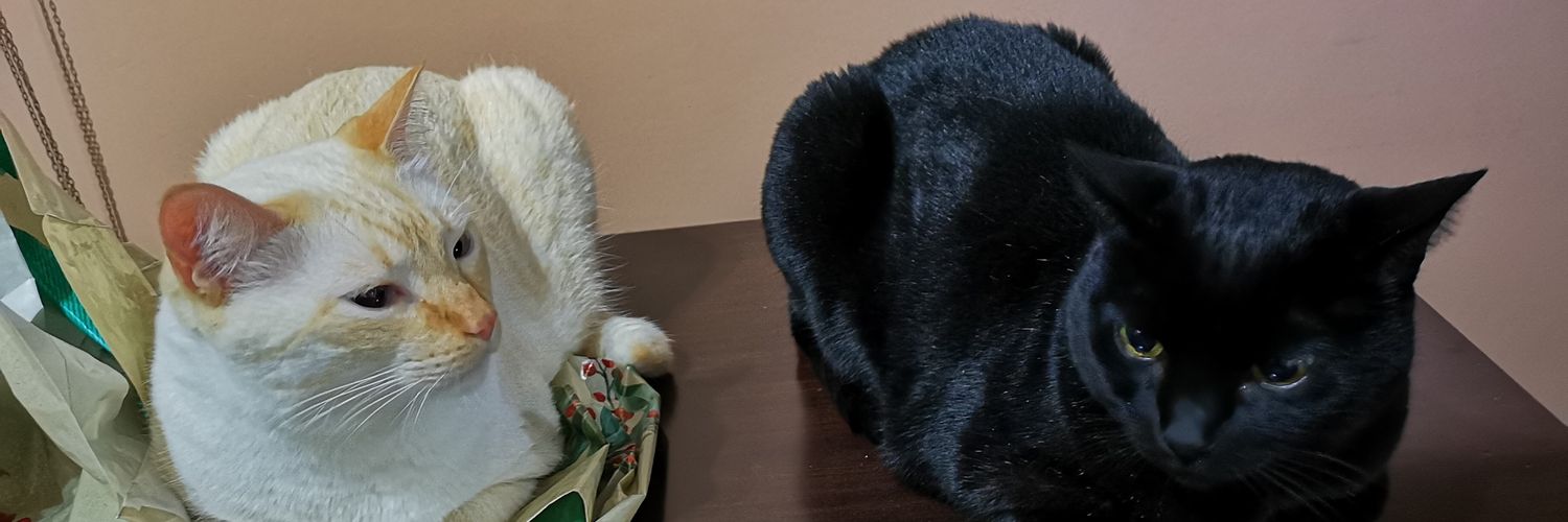 moy_maiz's profile banner image