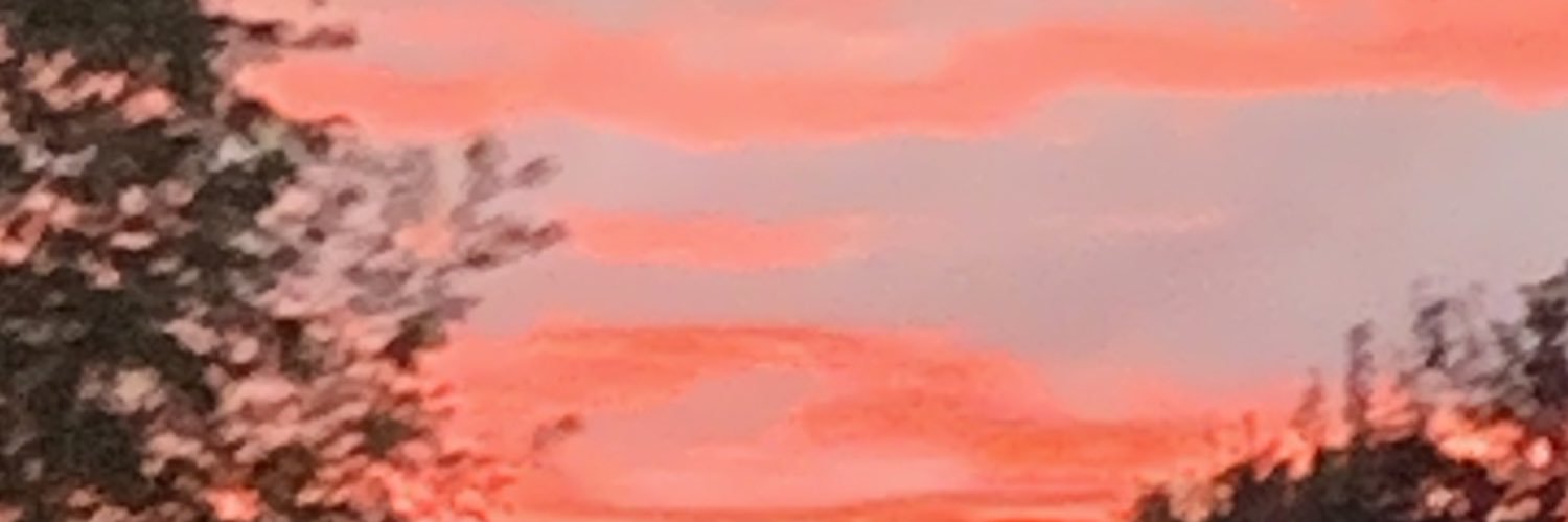 Kristine DeNeve banner