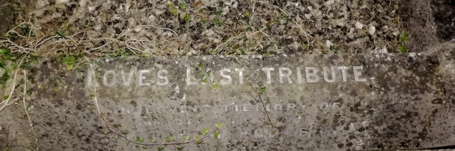 𝖑𝖚𝖓𝖆 ♡ banner