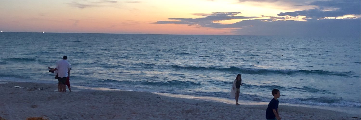 ChaplinKristina's profile banner image