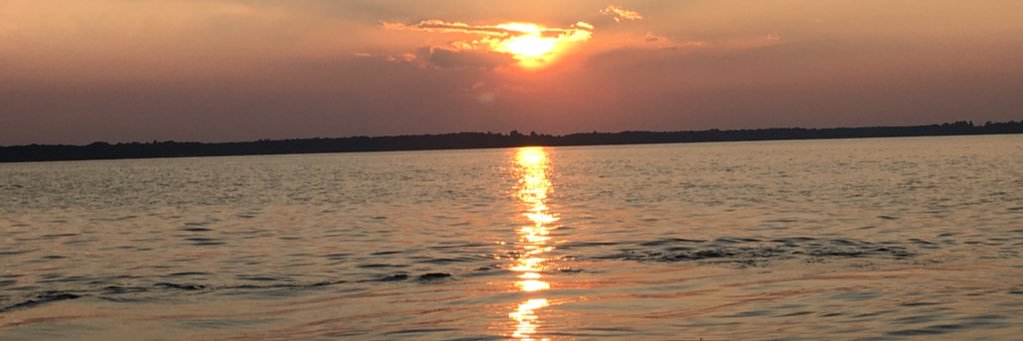 madisonnoname's profile banner image