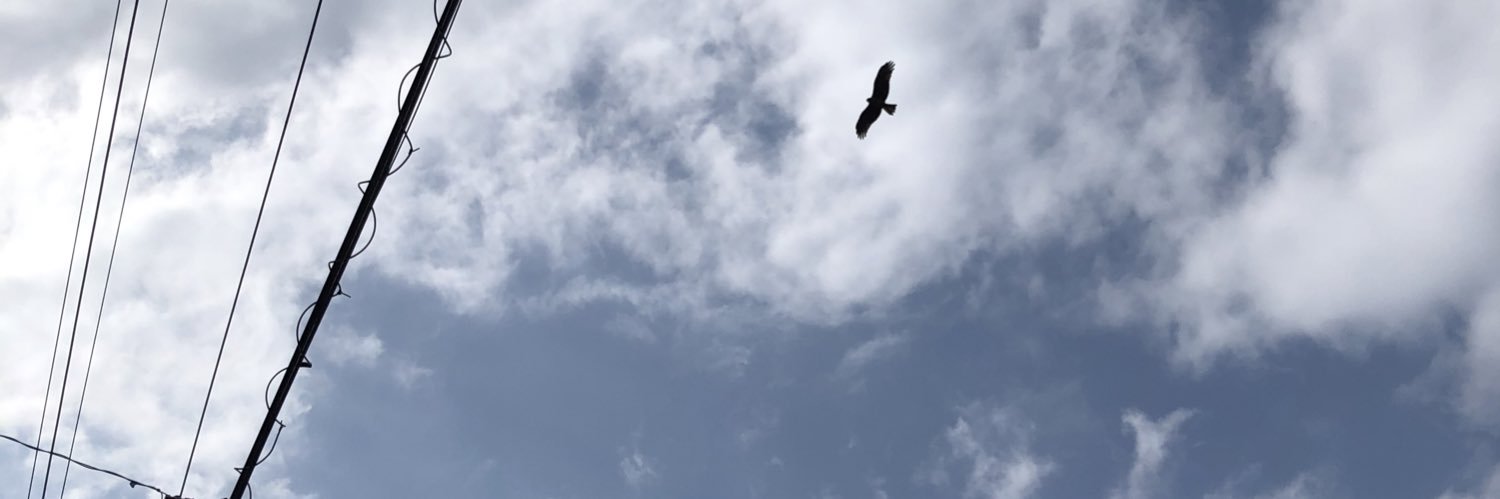 birshes's profile banner image