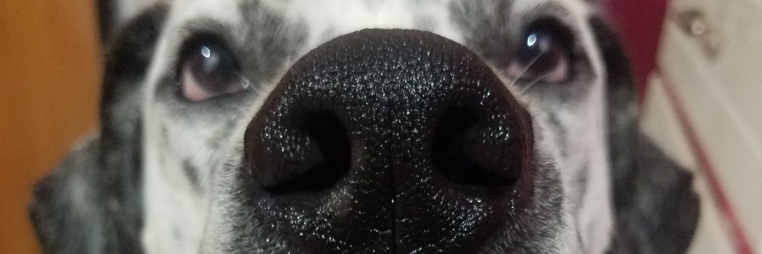 MarieeMartinez's profile banner image