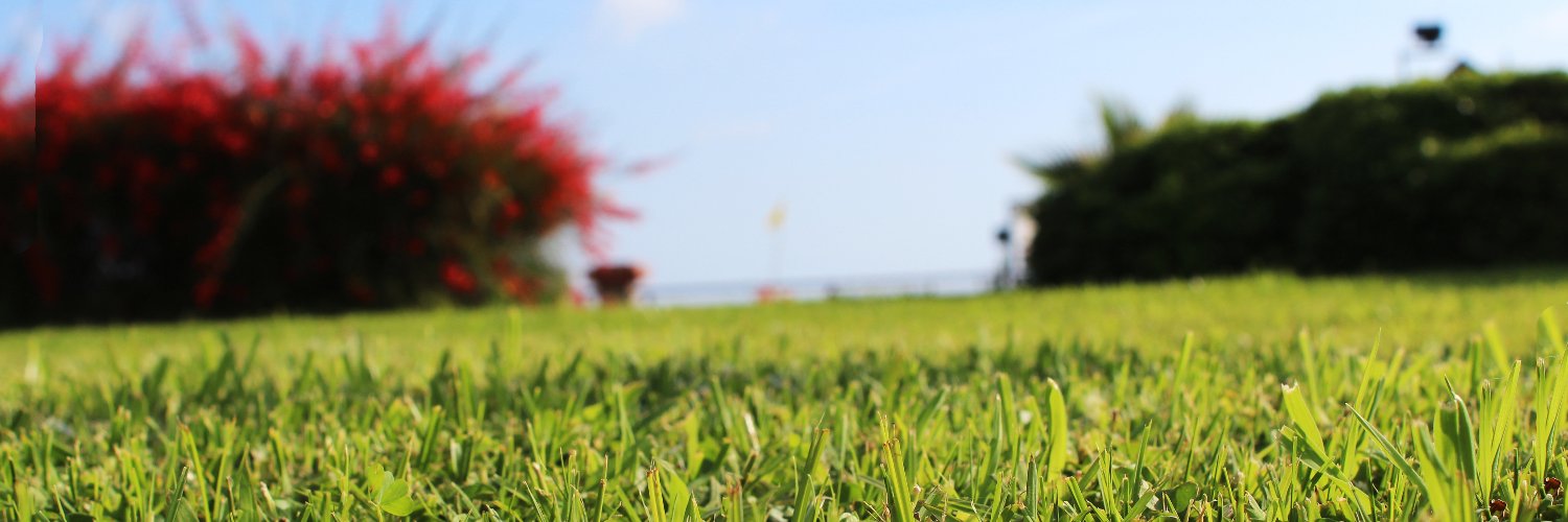 bengokhn's profile banner image