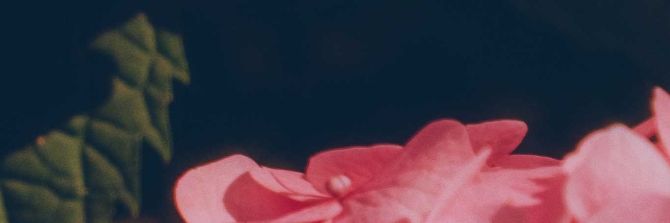 LISMANIAC's profile banner image