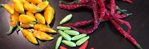 HotSauceBlogger Profile Banner
