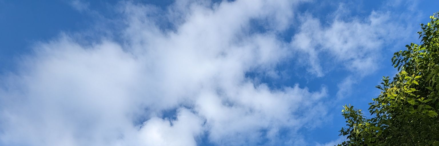 N91111063's profile banner image