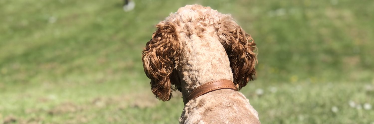 Beantaskerjames's profile banner image