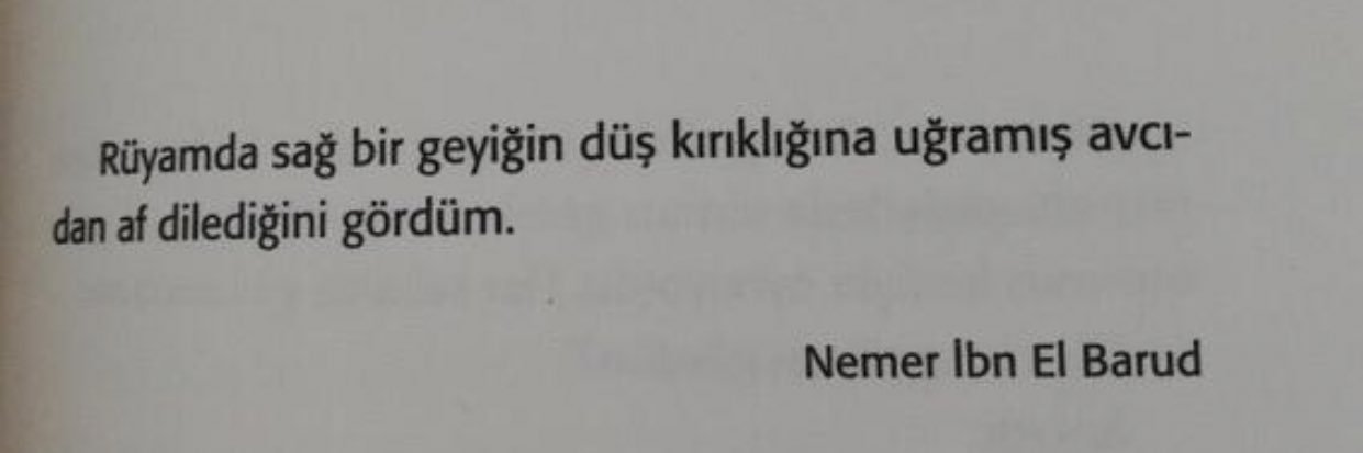 merve uygun banner