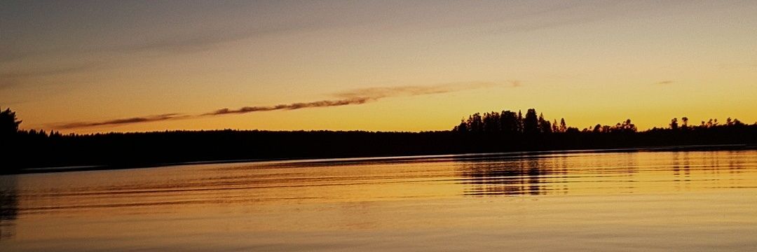 GustafHallin's profile banner image
