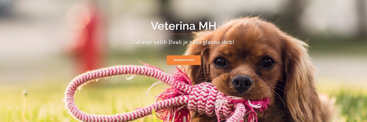 VeterinaMH's profile banner image