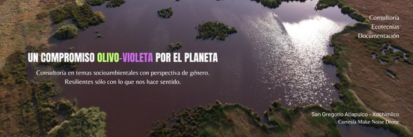 ConSentidoVerde Profile Banner