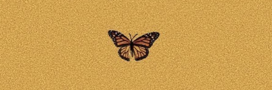 cassieeee___'s profile banner image