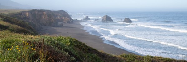 taubamush Profile Banner