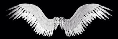 333_boos's profile banner image