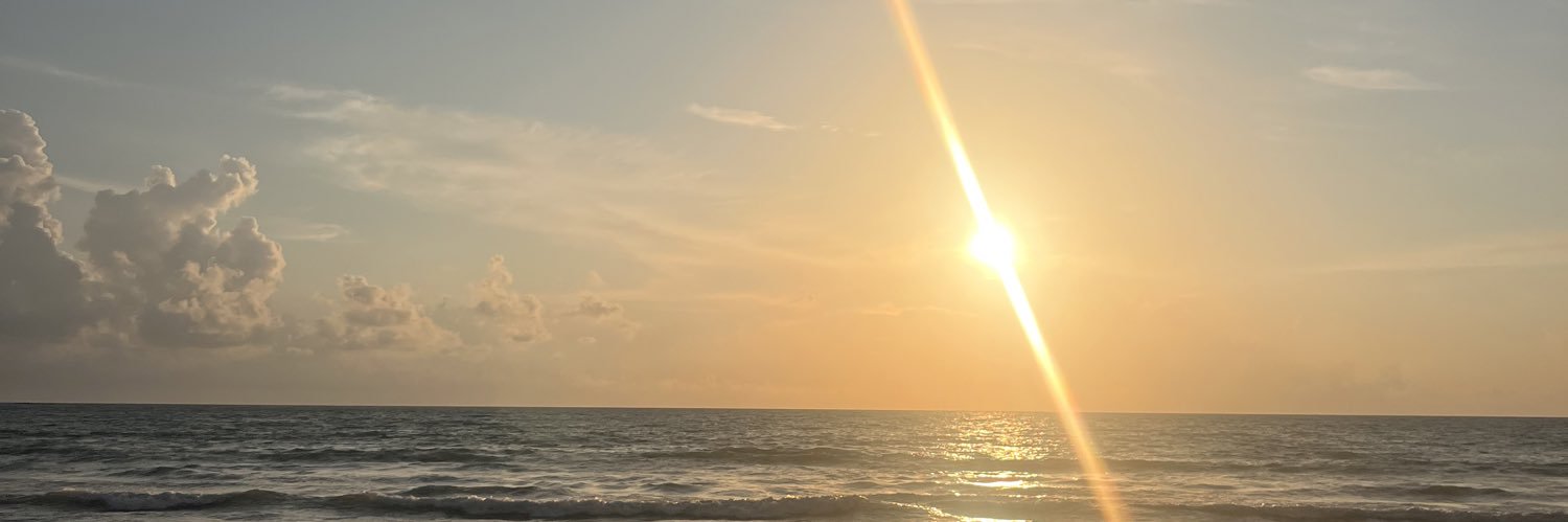 zoeneill__'s profile banner image