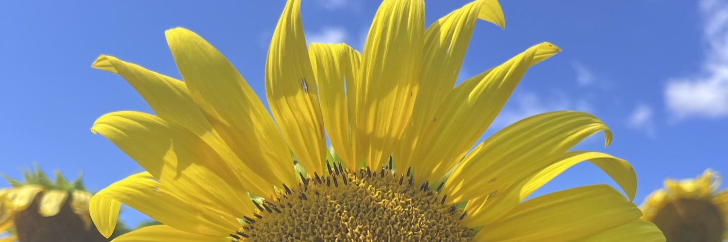 russinkaley's profile banner image