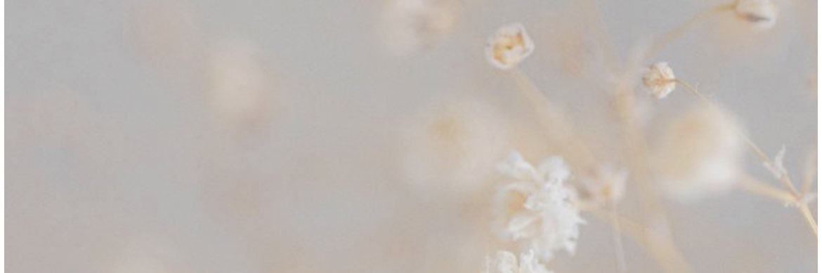 268_lola's profile banner image