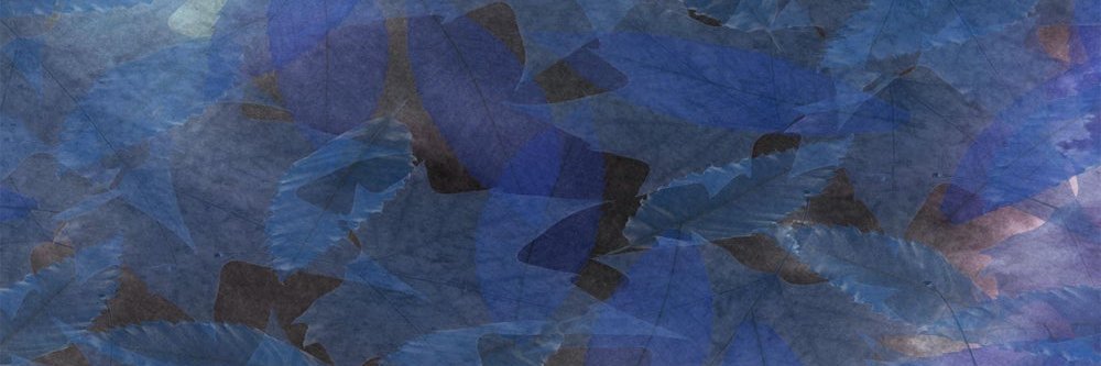 Danusha Jayawardana banner