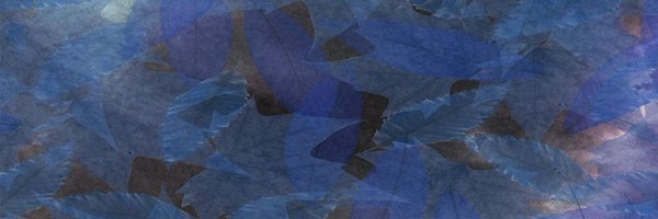 Danusha_Jay Profile Banner