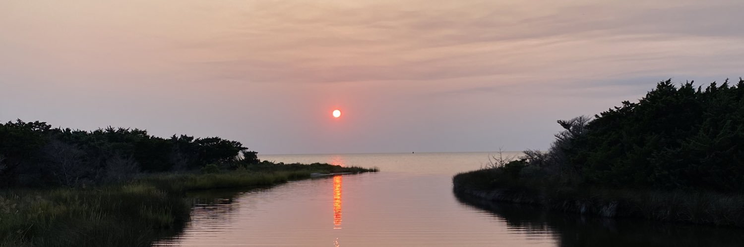 cera_johnson's profile banner image
