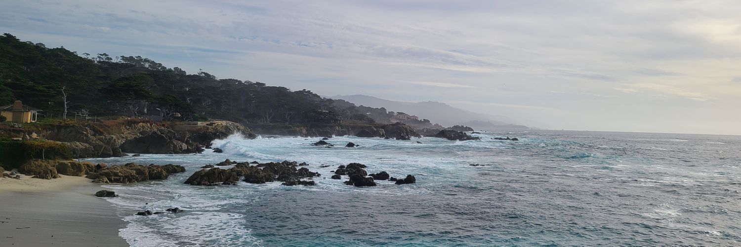 Javier Nieves banner