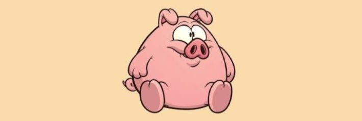 หมูน้อยขอขิง🐷 banner