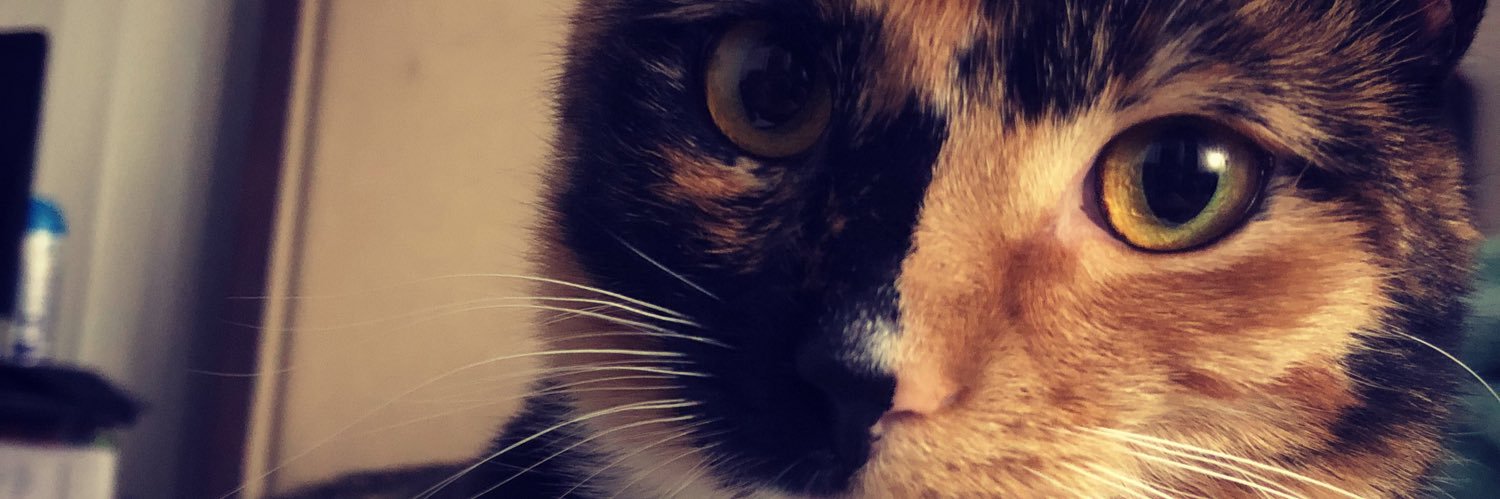 GrandMasterPuma's profile banner image