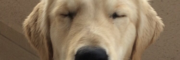 SSemersatan's profile banner image