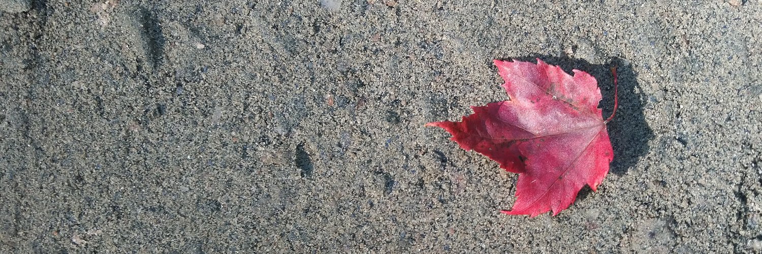 annjuck's profile banner image