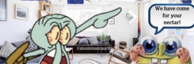 ass_tiddies_'s profile banner image