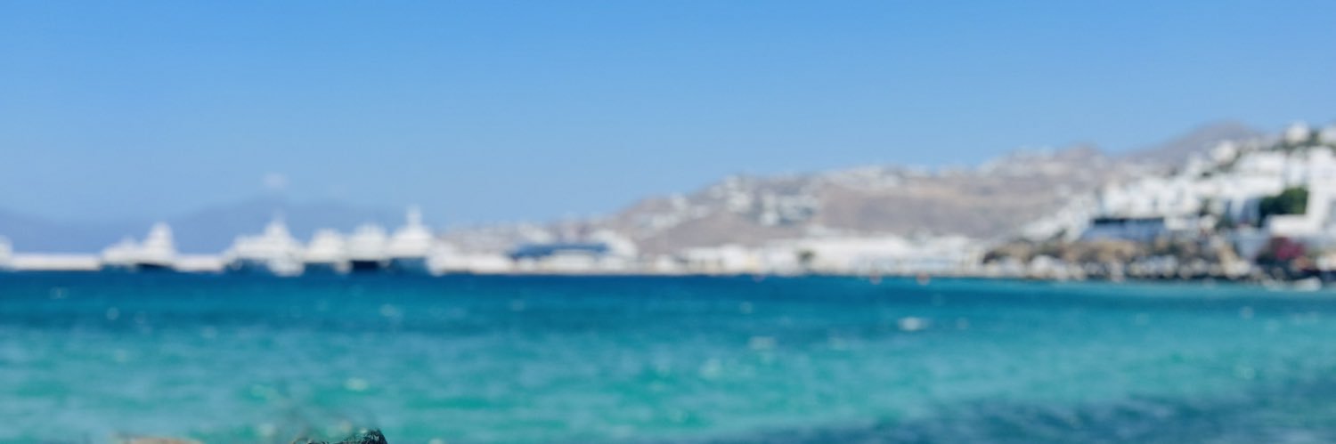 DebjaniM92's profile banner image